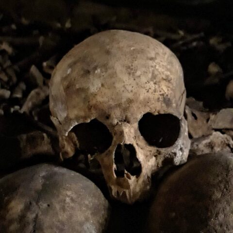 Catacombs Skull