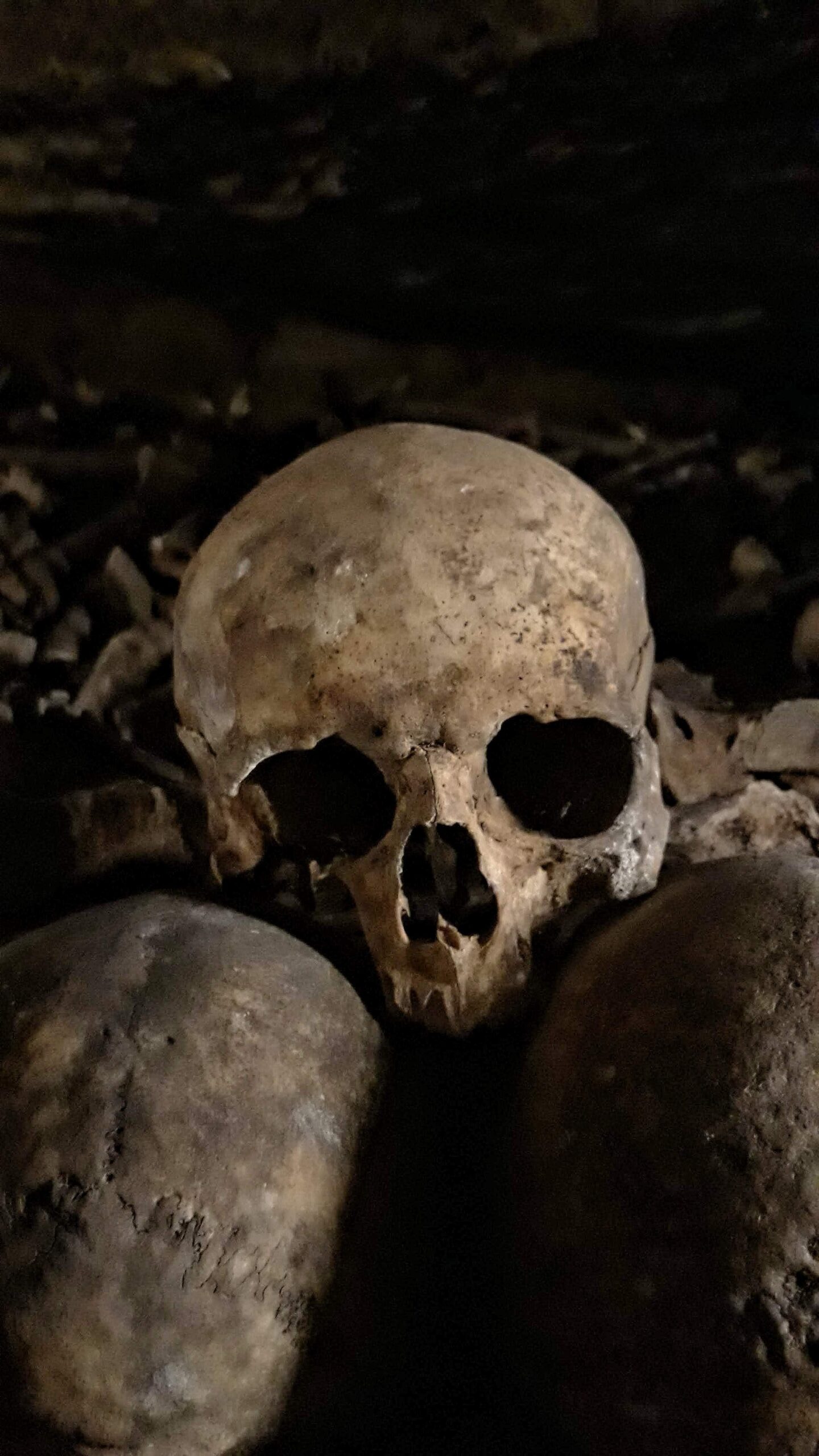 Catacombs Skull